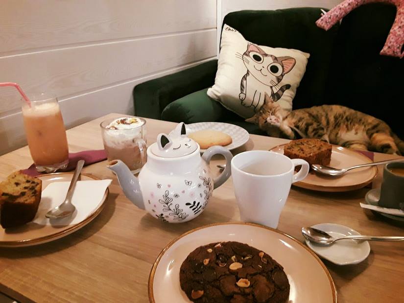 70548374_463121160909505_4280321199822602240_o (Copier)