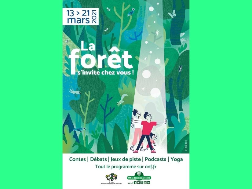 La forêt s’invite chez vous