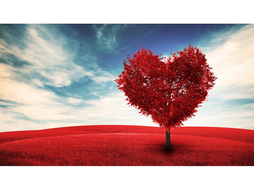Valentine’s_Day_Heart_Trees_515463_1920x1080 (Copier)