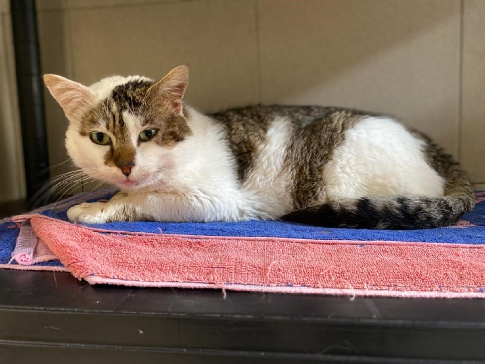 processed-f3d27487-72d9-4a7c-96c0-8c0cb44ae6c0_36Cwpkt4