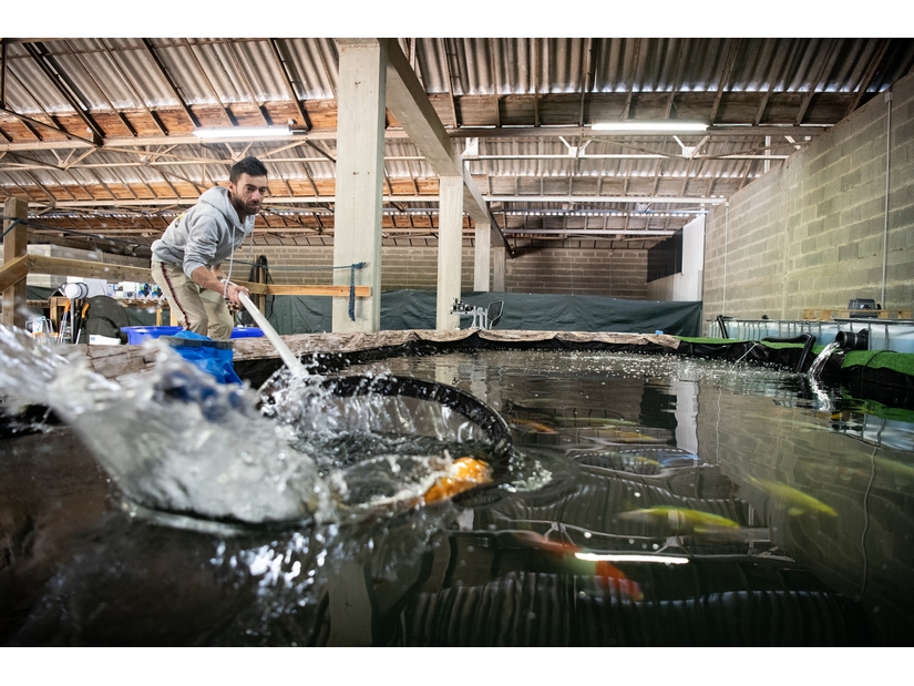 279703867_146396997910268_2816843329360835718_n (Copier)