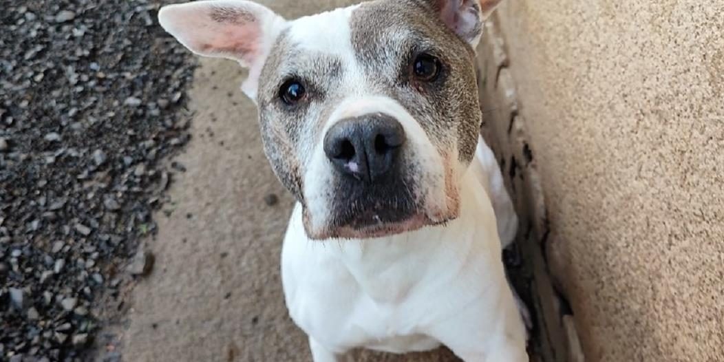 604431_638154441011815251