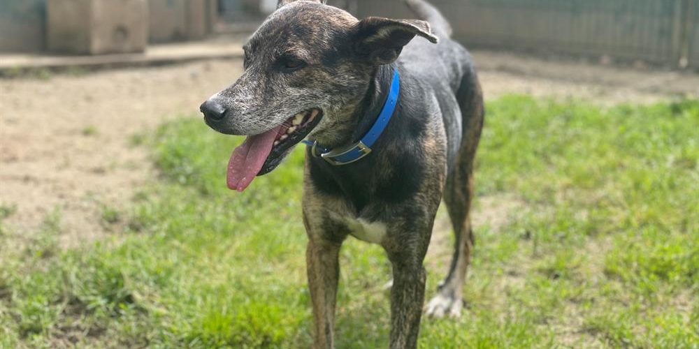 louka-123780-670b9697e42db