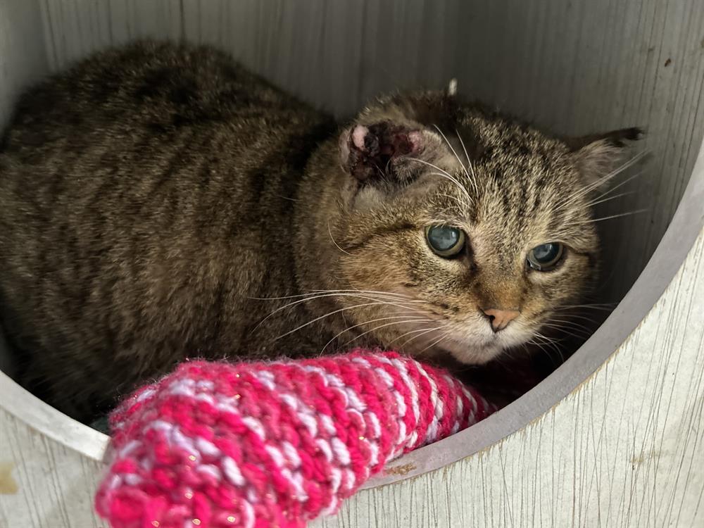 713737_638731465588677566