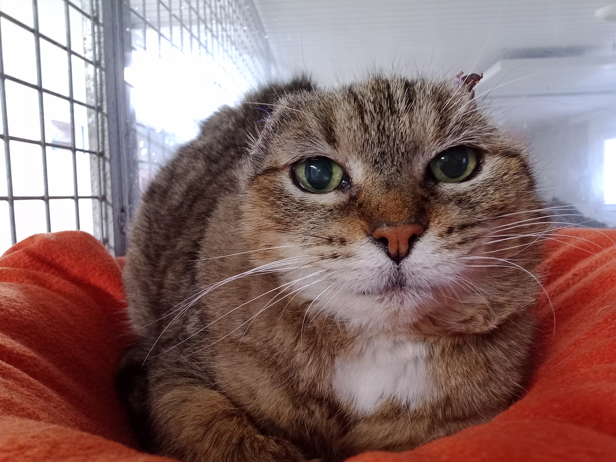 IMG_20250312_162914_781