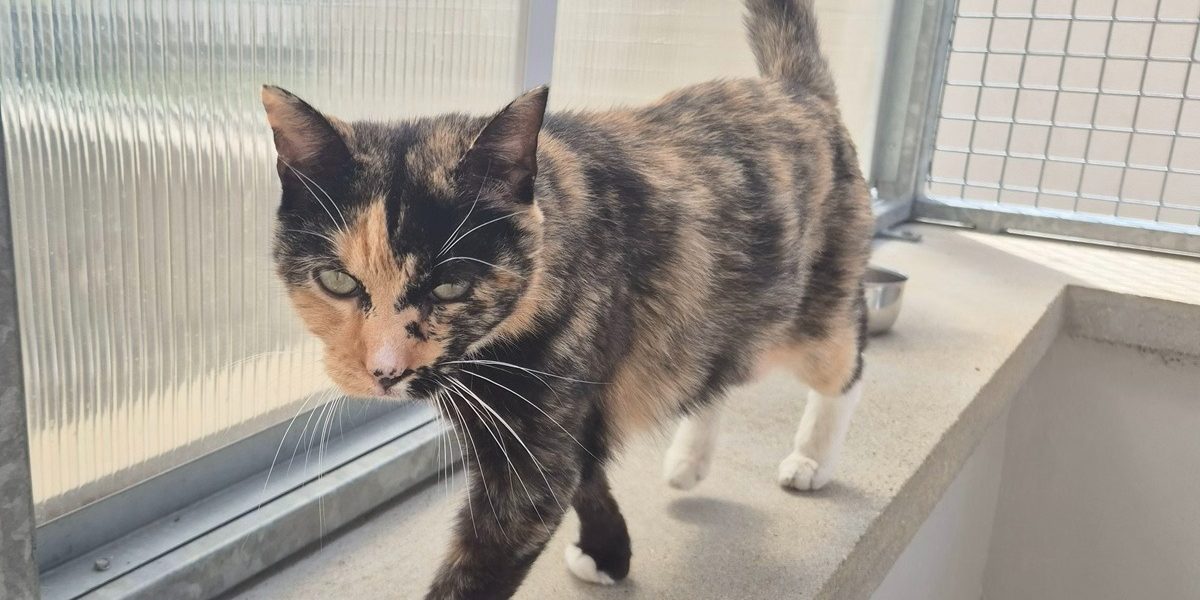 738336_638920724403628179