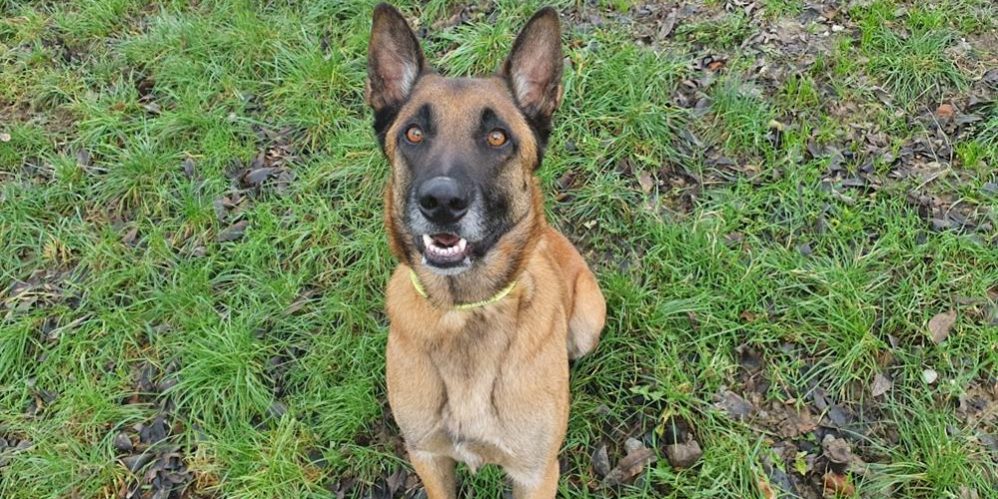 662361_638378336851422034