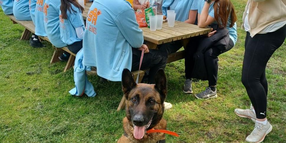 679406_638818002945214032