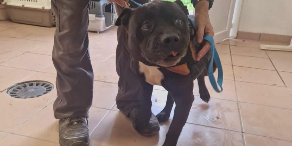 téléchargement (1)